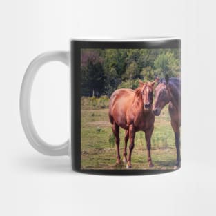 Horses on Pereau Rd Mug